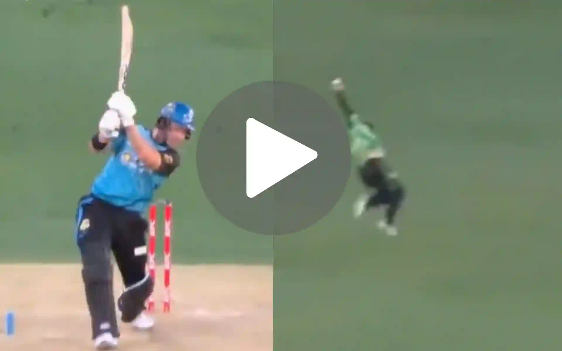 Greatest Catch Of All Time! Ben Duckett Pulls Off A Screamer In BBL 14 Match